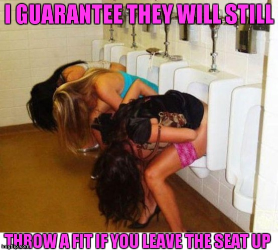 Tell me I'm wrong... | I GUARANTEE THEY WILL STILL; THROW A FIT IF YOU LEAVE THE SEAT UP | image tagged in bathroom humor | made w/ Imgflip meme maker