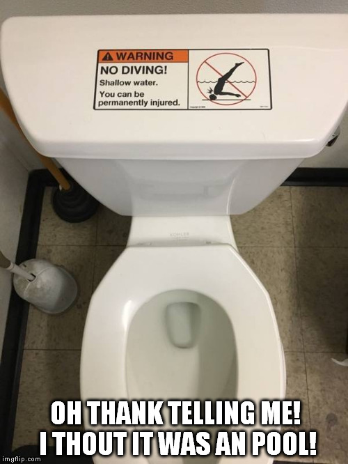 not diving... | OH THANK TELLING ME! I THOUT IT WAS AN POOL! | image tagged in toilet humor,toilet,no logic,pool | made w/ Imgflip meme maker