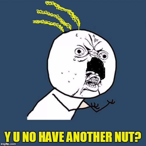 Y U NO HAVE ANOTHER NUT? | made w/ Imgflip meme maker