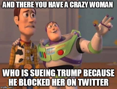 X, X Everywhere Meme | AND THERE YOU HAVE A CRAZY WOMAN; WHO IS SUEING TRUMP BECAUSE HE BLOCKED HER ON TWITTER | image tagged in memes,x x everywhere | made w/ Imgflip meme maker