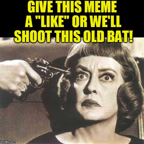 Like it or else...... | GIVE THIS MEME A "LIKE" OR WE'LL SHOOT THIS OLD BAT! | image tagged in funny memes,old lady,bette davis,threat,meme | made w/ Imgflip meme maker