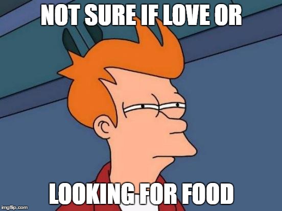 Futurama Fry | NOT SURE IF LOVE OR; LOOKING FOR FOOD | image tagged in memes,futurama fry,AdviceAnimals | made w/ Imgflip meme maker