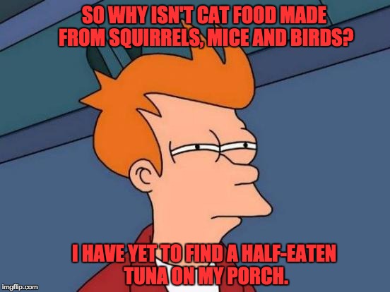 Futurama Fry Meme | SO WHY ISN'T CAT FOOD MADE FROM SQUIRRELS, MICE AND BIRDS? I HAVE YET TO FIND A HALF-EATEN TUNA ON MY PORCH. | image tagged in memes,futurama fry | made w/ Imgflip meme maker