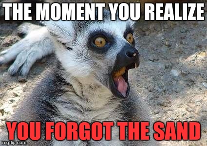 That Moment When | THE MOMENT YOU REALIZE; YOU FORGOT THE SAND | image tagged in that moment when | made w/ Imgflip meme maker