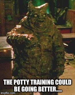 THE POTTY TRAINING COULD BE GOING BETTER..... | image tagged in potty  training | made w/ Imgflip meme maker