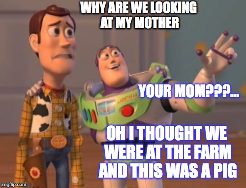X, X Everywhere | WHY ARE WE LOOKING AT MY MOTHER; YOUR MOM???... OH I THOUGHT WE WERE AT THE FARM AND THIS WAS A PIG | image tagged in memes,x x everywhere | made w/ Imgflip meme maker