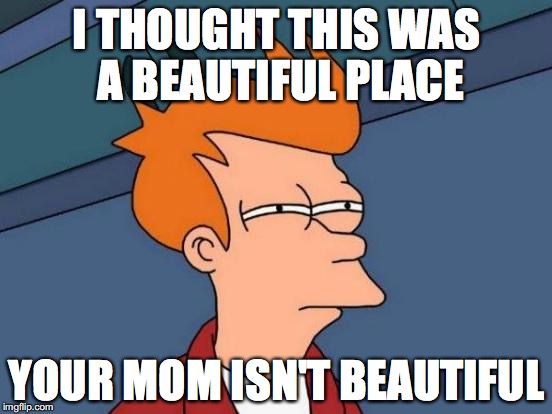 Futurama Fry | I THOUGHT THIS WAS A BEAUTIFUL PLACE; YOUR MOM ISN'T BEAUTIFUL | image tagged in memes,futurama fry | made w/ Imgflip meme maker
