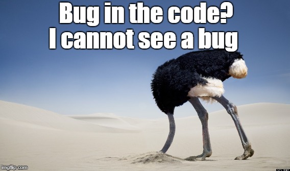 Coding ostrich | Bug in the code? I cannot see a bug | image tagged in coding,bugs,bug,error | made w/ Imgflip meme maker
