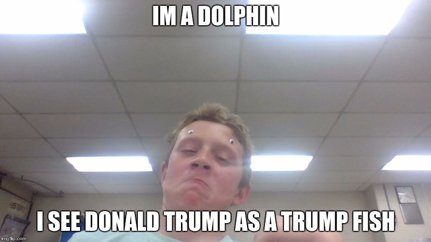 IM A DOLPHIN; I SEE DONALD TRUMP AS A TRUMP FISH | image tagged in dolphin face | made w/ Imgflip meme maker