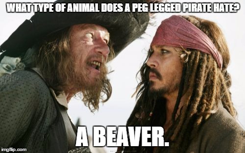 Barbosa And Sparrow | WHAT TYPE OF ANIMAL DOES A PEG LEGGED PIRATE HATE? A BEAVER. | image tagged in memes,barbosa and sparrow | made w/ Imgflip meme maker