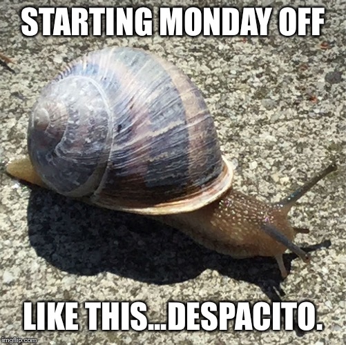 Slow as a snail... | STARTING MONDAY OFF; LIKE THIS...DESPACITO. | image tagged in slow as a snail | made w/ Imgflip meme maker