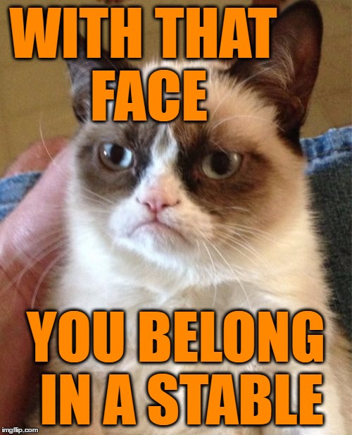 Grumpy Cat Meme | WITH THAT FACE YOU BELONG IN A STABLE | image tagged in memes,grumpy cat | made w/ Imgflip meme maker