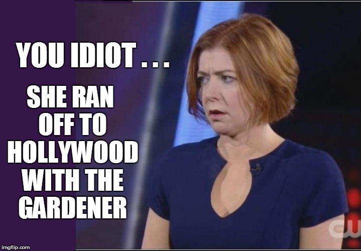 YOU IDIOT . . . SHE RAN OFF TO HOLLYWOOD WITH THE GARDENER | made w/ Imgflip meme maker