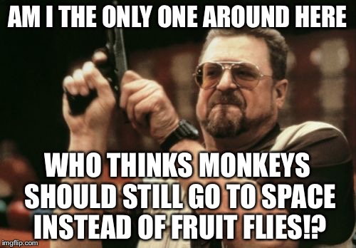 Monkeys should still go to space instead of fruit flies | AM I THE ONLY ONE AROUND HERE; WHO THINKS MONKEYS SHOULD STILL GO TO SPACE INSTEAD OF FRUIT FLIES!? | image tagged in memes,am i the only one around here,flying monkeys,fruit flies,nasa hoax,lost in space | made w/ Imgflip meme maker