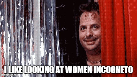 I LIKE LOOKING AT WOMEN INCOGNETO | made w/ Imgflip meme maker