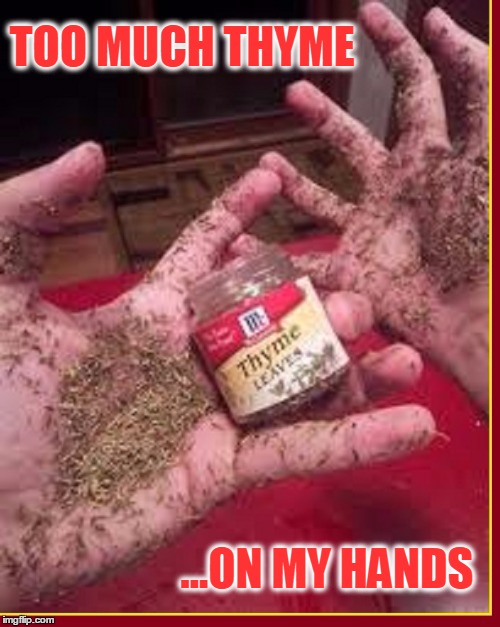 Thyme Thyme Thyme is on my side, yes, it is | TOO MUCH THYME; ...ON MY HANDS | image tagged in vince vance,too much time on my hands,thyme,sounds like,words to the song,excuse me while i kiss this guy | made w/ Imgflip meme maker