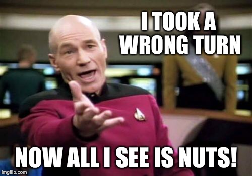 Picard Wtf Meme | I TOOK A WRONG TURN NOW ALL I SEE IS NUTS! | image tagged in memes,picard wtf | made w/ Imgflip meme maker