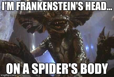 I'M FRANKENSTEIN'S HEAD... ON A SPIDER'S BODY | image tagged in scary things | made w/ Imgflip meme maker