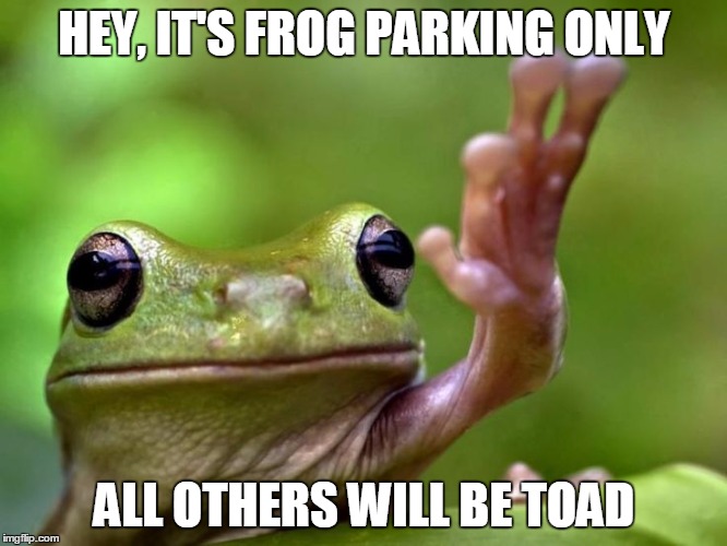 Angry Tree Frog | HEY, IT'S FROG PARKING ONLY; ALL OTHERS WILL BE TOAD | image tagged in angry tree frog | made w/ Imgflip meme maker