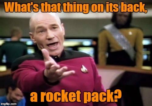 Picard Wtf Meme | What's that thing on its back, a rocket pack? | image tagged in memes,picard wtf | made w/ Imgflip meme maker