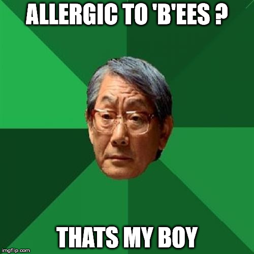 High Expectations Asian Father | ALLERGIC TO 'B'EES ? THATS MY BOY | image tagged in memes,high expectations asian father | made w/ Imgflip meme maker