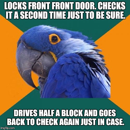 Paranoid Parrot Meme | LOCKS FRONT FRONT DOOR. CHECKS IT A SECOND TIME JUST TO BE SURE. DRIVES HALF A BLOCK AND GOES BACK TO CHECK AGAIN JUST IN CASE. | image tagged in memes,paranoid parrot | made w/ Imgflip meme maker