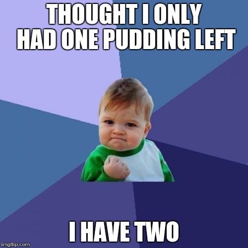 Success Kid | THOUGHT I ONLY HAD ONE PUDDING LEFT; I HAVE TWO | image tagged in memes,success kid | made w/ Imgflip meme maker