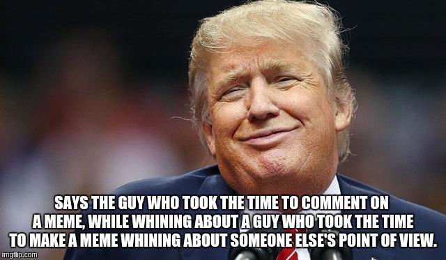 Stop Whining |  SAYS THE GUY WHO TOOK THE TIME TO COMMENT ON A MEME, WHILE WHINING ABOUT A GUY WHO TOOK THE TIME TO MAKE A MEME WHINING ABOUT SOMEONE ELSE'S POINT OF VIEW. | image tagged in trump oopsie,memes,funny,whining,trump | made w/ Imgflip meme maker