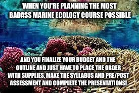 WHEN YOU'RE PLANNING THE MOST BADASS MARINE ECOLOGY COURSE POSSIBLE; AND YOU FINALIZE YOUR BUDGET AND THE OUTLINE AND JUST HAVE TO PLACE THE ORDER WITH SUPPLIES, MAKE THE SYLLABUS AND PRE/POST ASSESSMENT AND COMPLETE THE PRESENTATIONS! | image tagged in coral,education | made w/ Imgflip meme maker