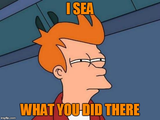 Futurama Fry Meme | I SEA WHAT YOU DID THERE | image tagged in memes,futurama fry | made w/ Imgflip meme maker