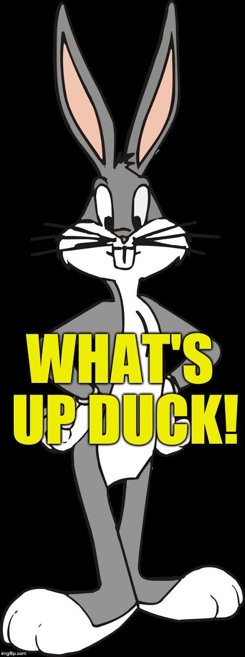 Bugs Bunny | WHAT'S UP DUCK! | image tagged in bugs bunny | made w/ Imgflip meme maker