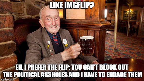 LIKE IMGFLIP? EH, I PREFER THE FLIP; YOU CAN'T BLOCK OUT THE POLITICAL ASSHOLES AND I HAVE TO ENGAGE THEM | made w/ Imgflip meme maker