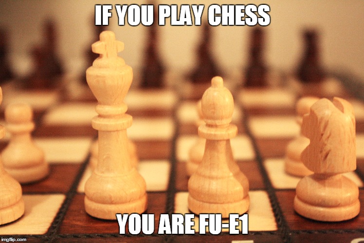FU-E1 | IF YOU PLAY CHESS; YOU ARE FU-E1 | image tagged in chess,king | made w/ Imgflip meme maker