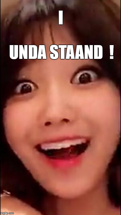 Ordering Ice Cream While On Vacation...IN AMERICA ! | I UNDA STAAND  ! | image tagged in memes excited asian | made w/ Imgflip meme maker
