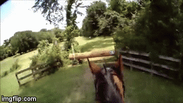 image tagged in gifs | made w/ Imgflip video-to-gif maker