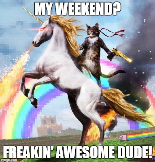 Fun filled weekend | MY WEEKEND? FREAKIN' AWESOME DUDE! | image tagged in memes,welcome to the internets | made w/ Imgflip meme maker