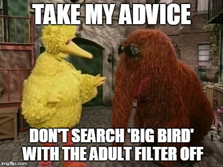 Advice for first time net user | TAKE MY ADVICE; DON'T SEARCH 'BIG BIRD' WITH THE ADULT FILTER OFF | image tagged in memes,big bird and snuffy | made w/ Imgflip meme maker
