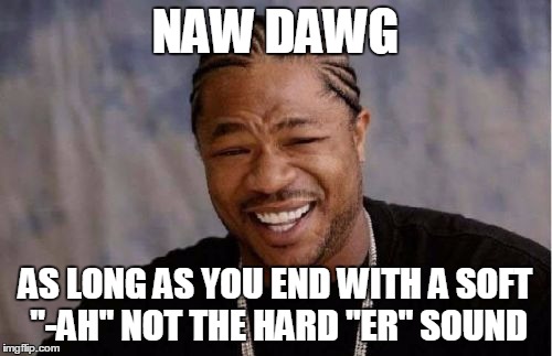 Yo Dawg Heard You Meme | NAW DAWG AS LONG AS YOU END WITH A SOFT "-AH" NOT THE HARD "ER" SOUND | image tagged in memes,yo dawg heard you | made w/ Imgflip meme maker