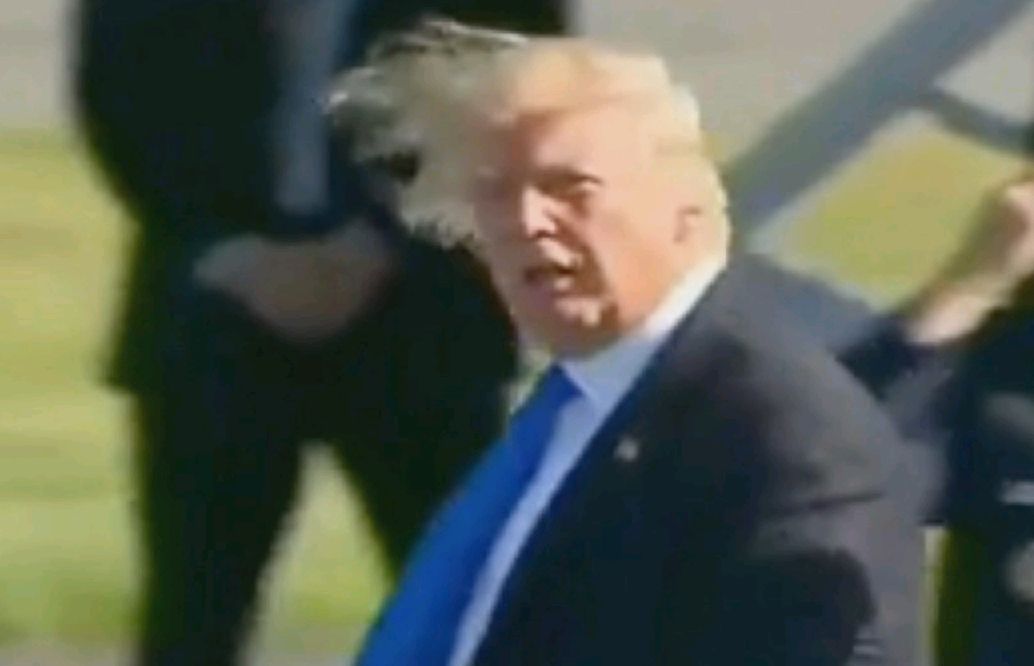 trump hair Blank Meme Template