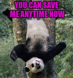 YOU CAN SAVE ME ANYTIME NOW | made w/ Imgflip meme maker
