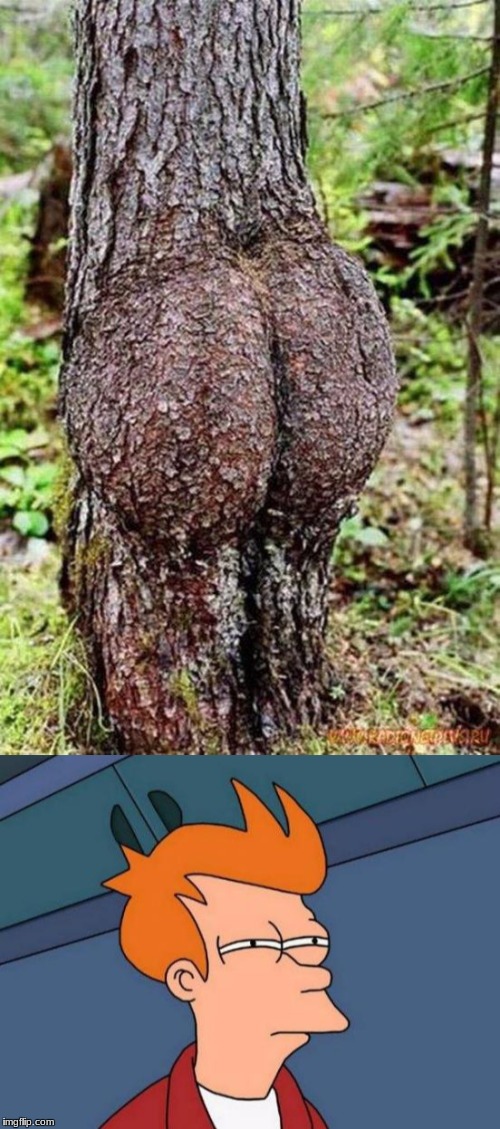hmm | image tagged in butt | made w/ Imgflip meme maker