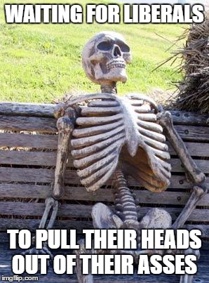 Waiting Skeleton | WAITING FOR LIBERALS; TO PULL THEIR HEADS OUT OF THEIR ASSES | image tagged in memes,waiting skeleton | made w/ Imgflip meme maker