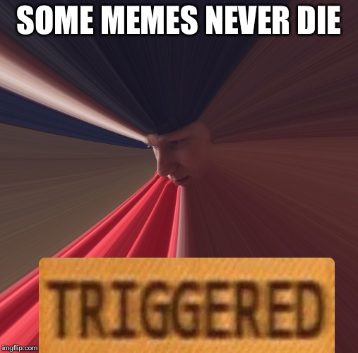 Triggered  | SOME MEMES NEVER DIE | image tagged in triggered | made w/ Imgflip meme maker