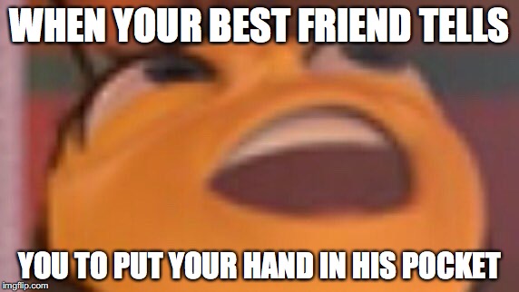 WHEN YOUR BEST FRIEND TELLS; YOU TO PUT YOUR HAND IN HIS POCKET | image tagged in beemovie | made w/ Imgflip meme maker