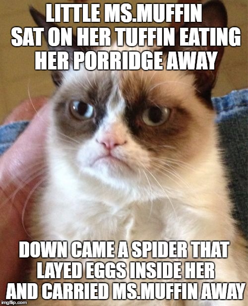 Grumpy Cat | LITTLE MS.MUFFIN SAT ON HER TUFFIN EATING HER PORRIDGE AWAY; DOWN CAME A SPIDER THAT LAYED EGGS INSIDE HER AND CARRIED MS.MUFFIN AWAY | image tagged in memes,grumpy cat | made w/ Imgflip meme maker