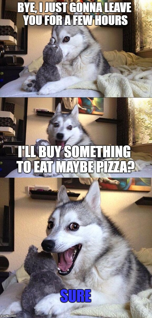 Bad Pun Dog Meme | BYE, I JUST GONNA LEAVE YOU FOR A FEW HOURS; I'LL BUY SOMETHING TO EAT MAYBE PIZZA? SURE | image tagged in memes,bad pun dog | made w/ Imgflip meme maker