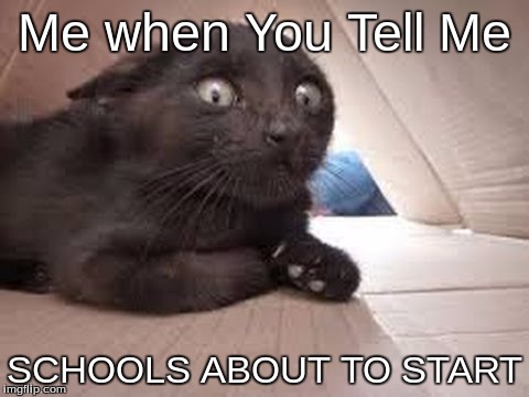 Me when You Tell Me; SCHOOLS ABOUT TO START | image tagged in school | made w/ Imgflip meme maker