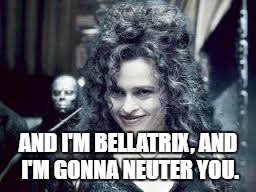 AND I'M BELLATRIX, AND I'M GONNA NEUTER YOU. | made w/ Imgflip meme maker