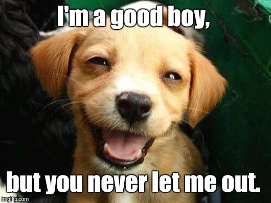 Dog Smiling | I'm a good boy, but you never let me out. | image tagged in dog smiling | made w/ Imgflip meme maker