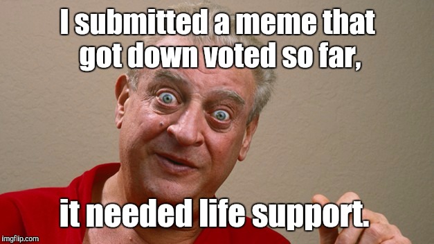 Rodney Dangerfield  | I submitted a meme that got down voted so far, it needed life support. | image tagged in rodney dangerfield | made w/ Imgflip meme maker
